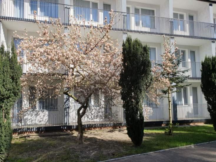 Osrodek Wczasowy Wrzos Łukęcin Esterno foto